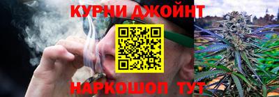 крисы Кунгур
