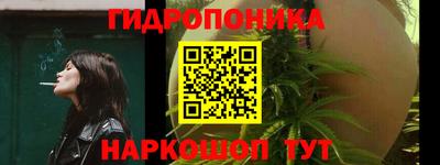 крисы Кунгур