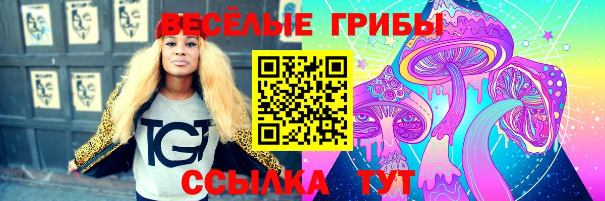 Галлюциногенные грибы Psilocybine cubensis Тосно