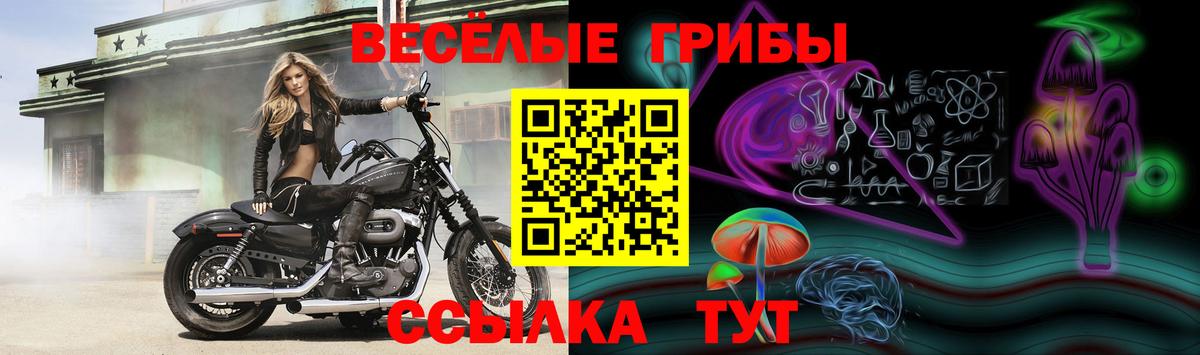 Тосно  Псилоцибиновые грибы ЛСД  Вход с VPN 