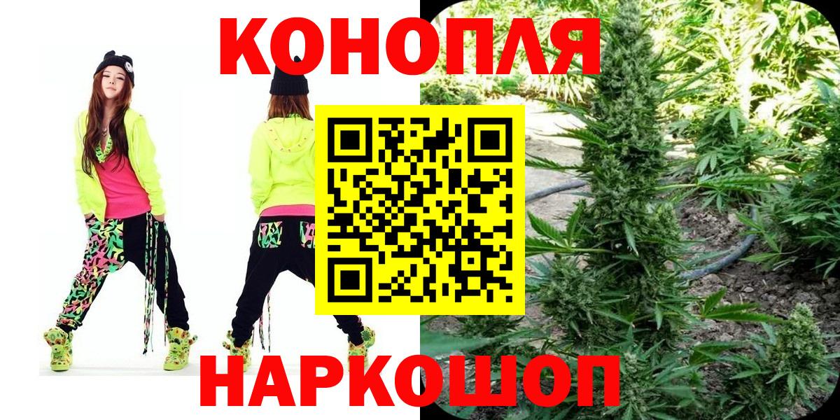 Канабис OG Kush Тосно